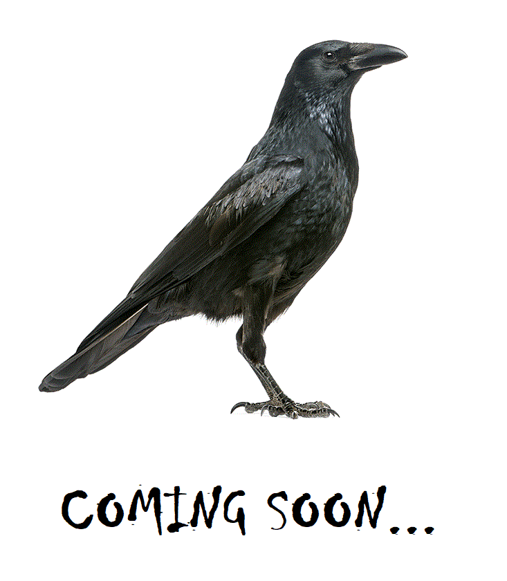 COMING SOON...